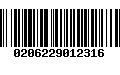 Código de Barras 0206229012316