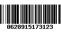 Código de Barras 0628915173123