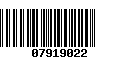 Código de Barras 07919022