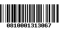 Código de Barras 0810001313067