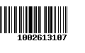 Código de Barras 1002613107