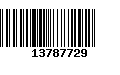 Código de Barras 13787729