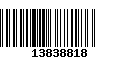 Código de Barras 13838818