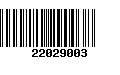 Código de Barras 22029003