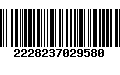 Código de Barras 2228237029580