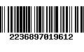 Código de Barras 2236897019612