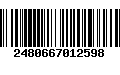 Código de Barras 2480667012598