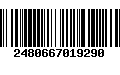 Código de Barras 2480667019290