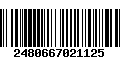 Código de Barras 2480667021125