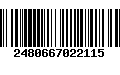 Código de Barras 2480667022115