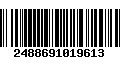 Código de Barras 2488691019613