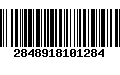 Código de Barras 2848918101284