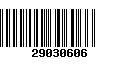 Código de Barras 29030606