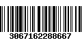 Código de Barras 3067162288667