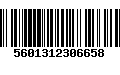 Código de Barras 5601312306658