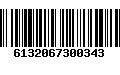 Código de Barras 6132067300343