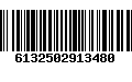 Código de Barras 6132502913480
