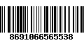 Código de Barras 8691066565538