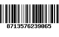 Código de Barras 8713576239065